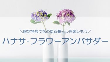 花き日持ち品質管理認証制度 花の店サトウ 公式サイト